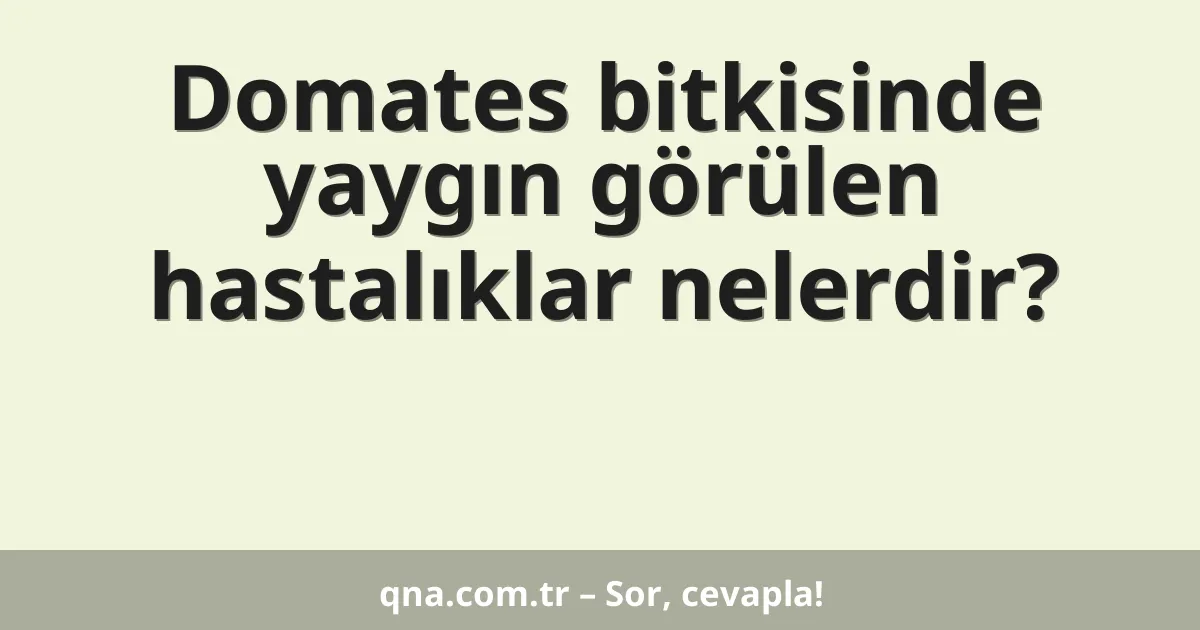 Domates bitkisinde yaygın görülen hastalıklar nelerdir?