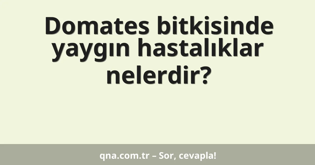 Domates bitkisinde yaygın hastalıklar nelerdir?