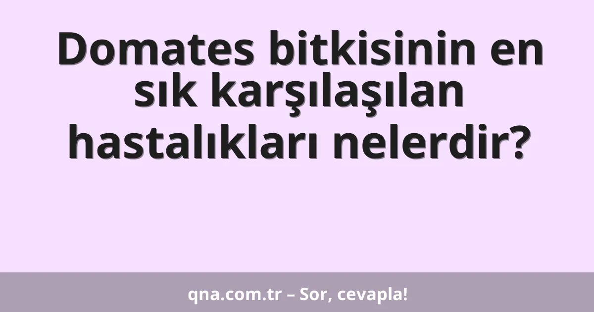 Domates bitkisinin en sık karşılaşılan hastalıkları nelerdir?