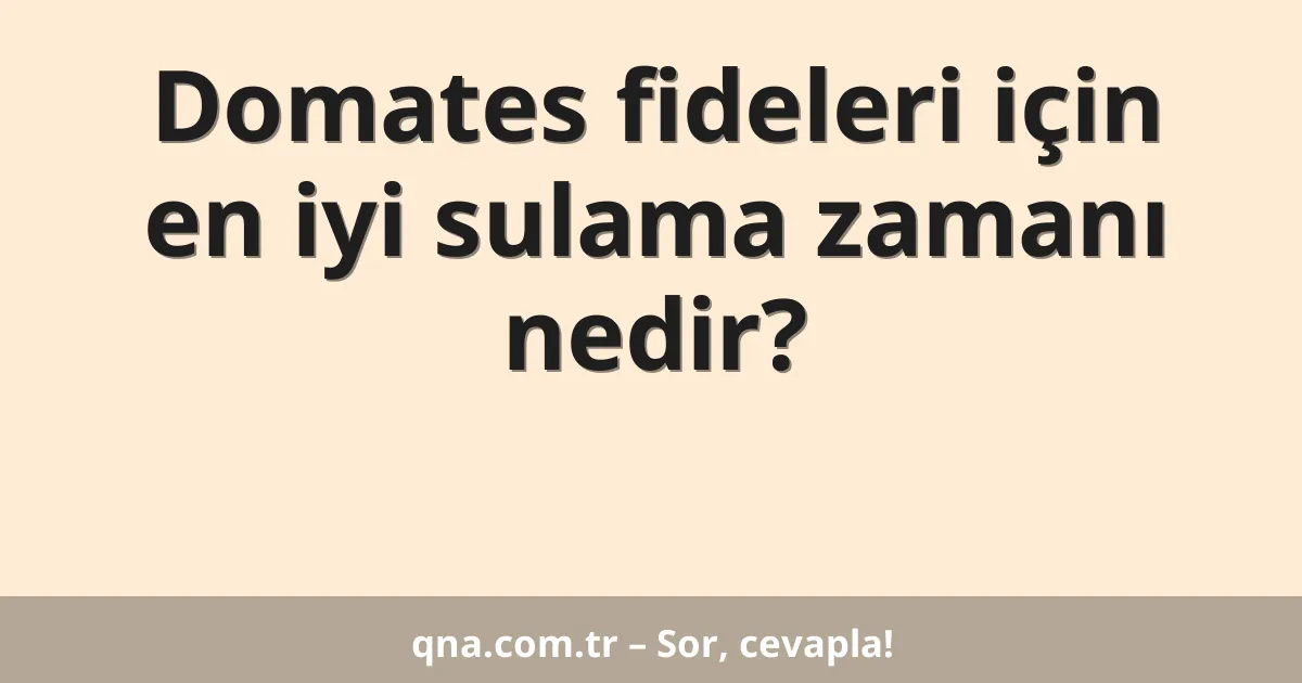 Domates fideleri için en iyi sulama zamanı nedir?
