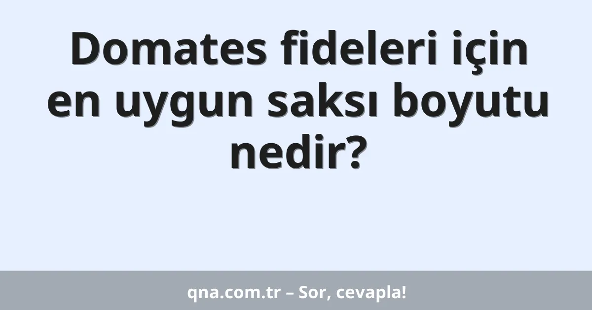 Domates fideleri için en uygun saksı boyutu nedir?