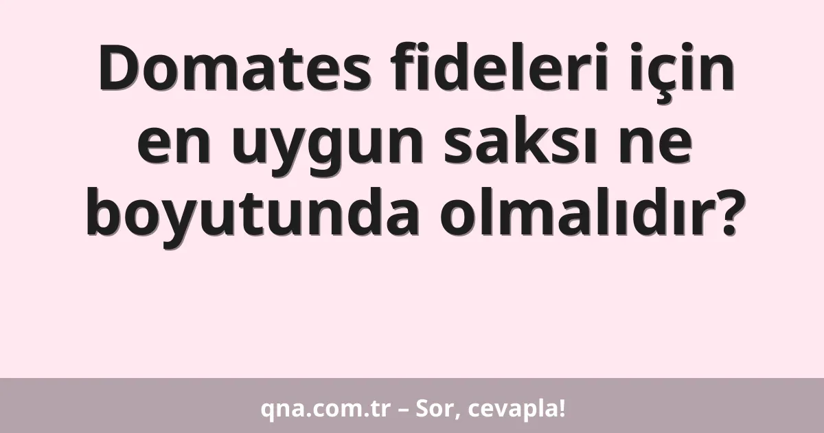 Domates fideleri için en uygun saksı ne boyutunda olmalıdır?