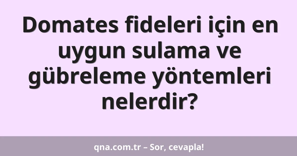 Domates fideleri için en uygun sulama ve gübreleme yöntemleri nelerdir?