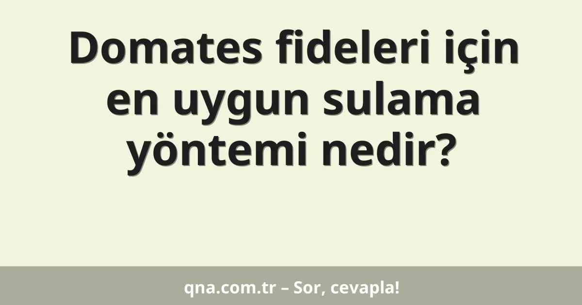 Domates fideleri için en uygun sulama yöntemi nedir?