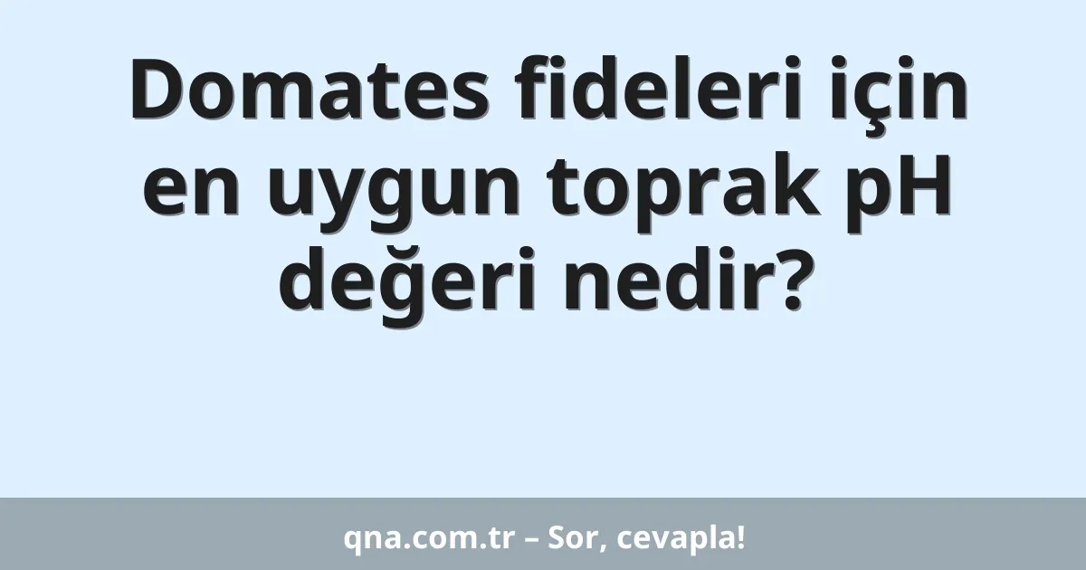 Domates fideleri için en uygun toprak pH değeri nedir?