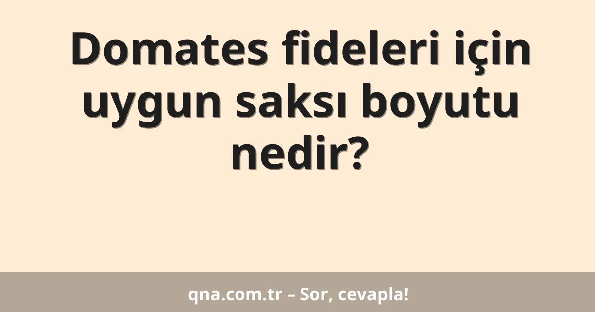 Domates fideleri için uygun saksı boyutu nedir?