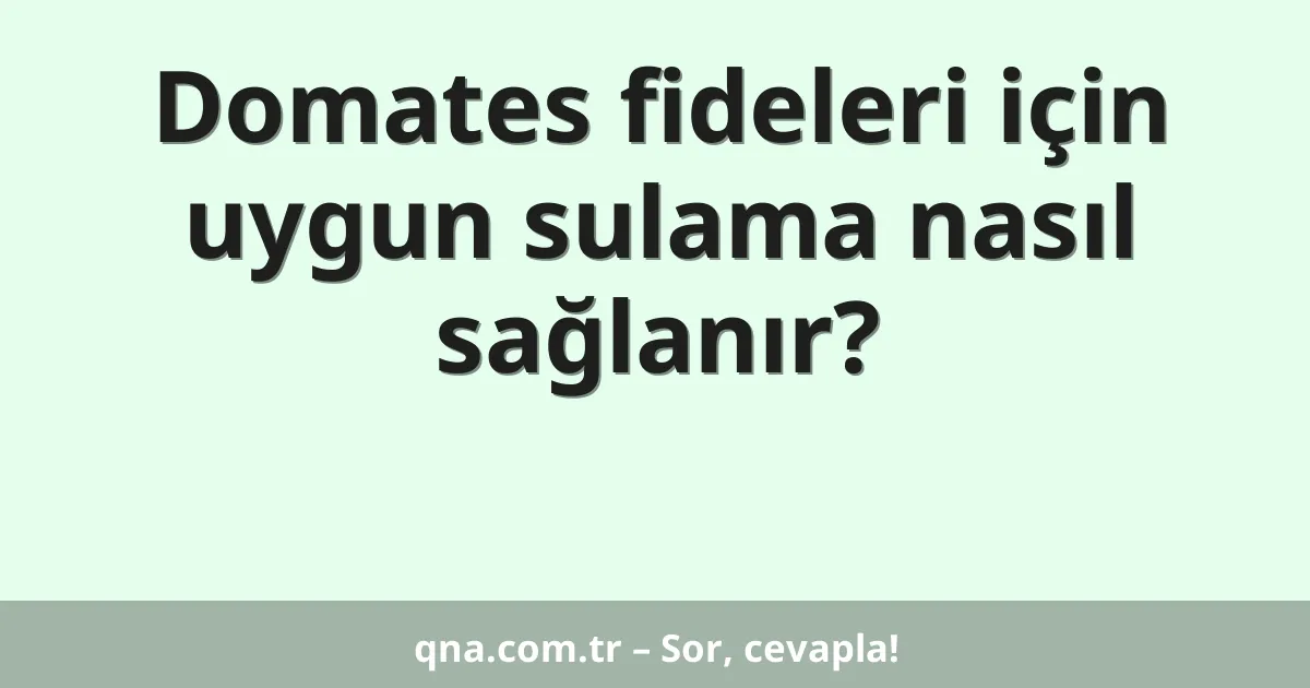 Domates fideleri için uygun sulama nasıl sağlanır?