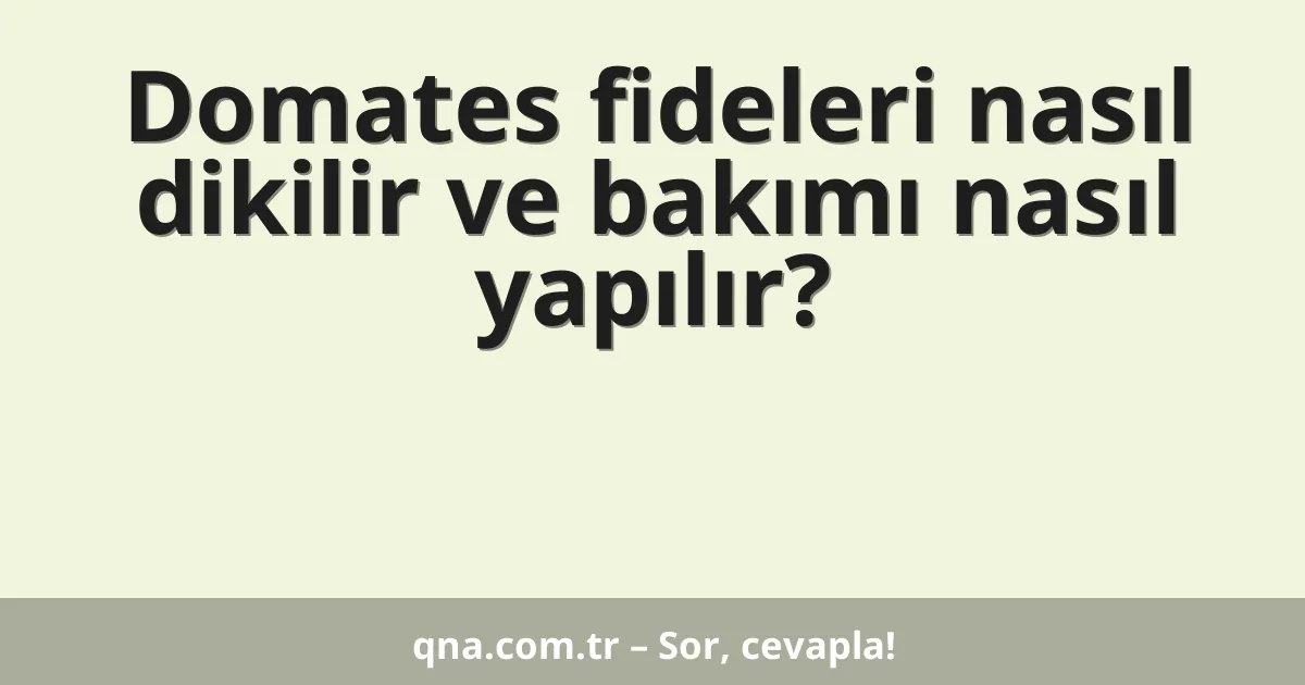 Domates fideleri nasıl dikilir ve bakımı nasıl yapılır?