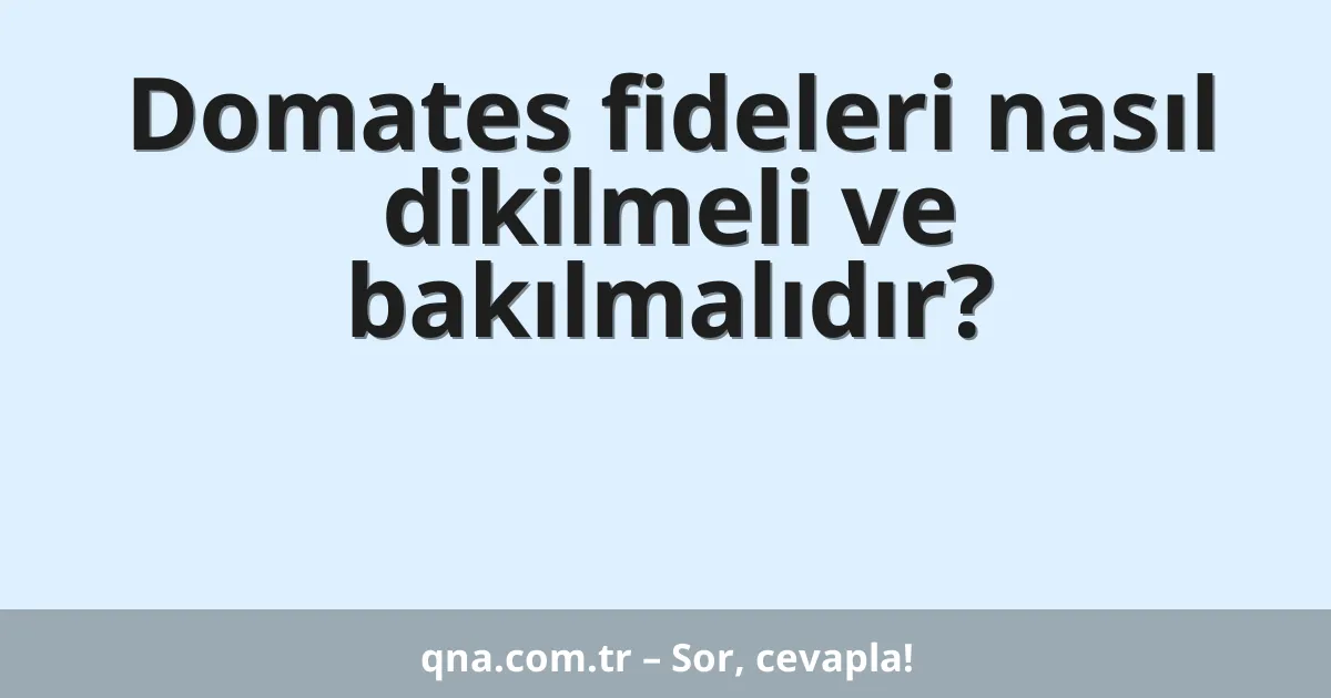 Domates fideleri nasıl dikilmeli ve bakılmalıdır?