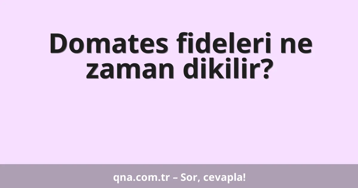 Domates fideleri ne zaman dikilir?