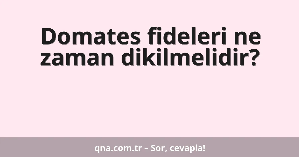 Domates fideleri ne zaman dikilmelidir?