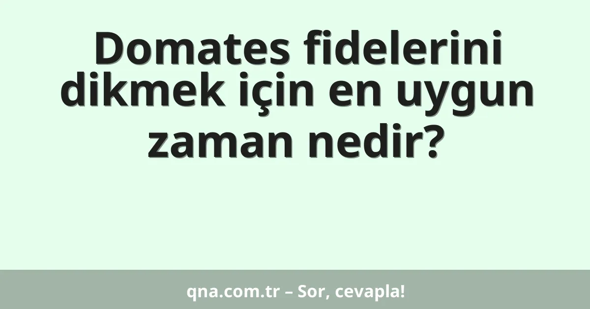 Domates fidelerini dikmek için en uygun zaman nedir?