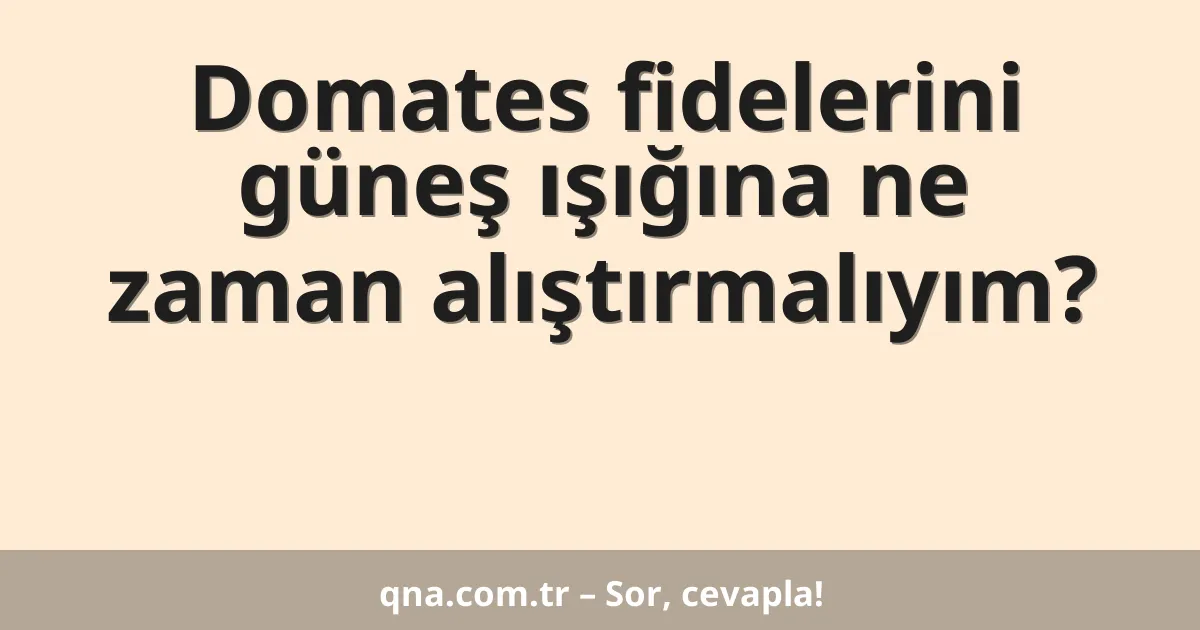 Domates fidelerini güneş ışığına ne zaman alıştırmalıyım?