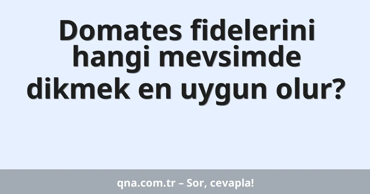 Domates fidelerini hangi mevsimde dikmek en uygun olur?