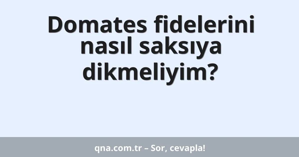 Domates fidelerini nasıl saksıya dikmeliyim?