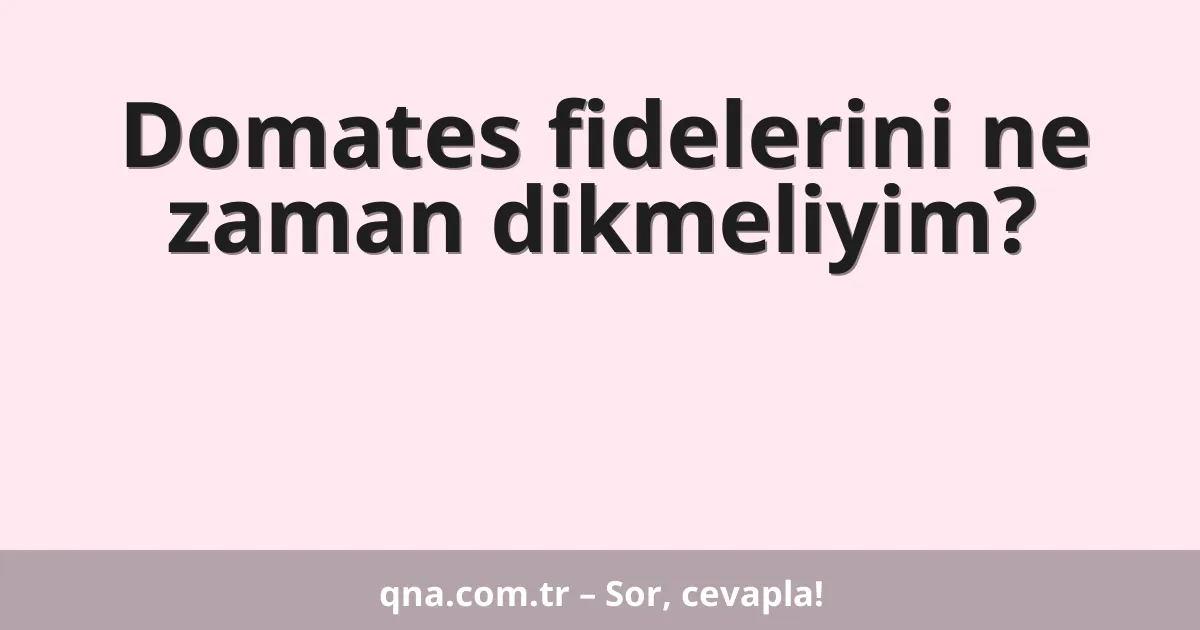 Domates fidelerini ne zaman dikmeliyim?