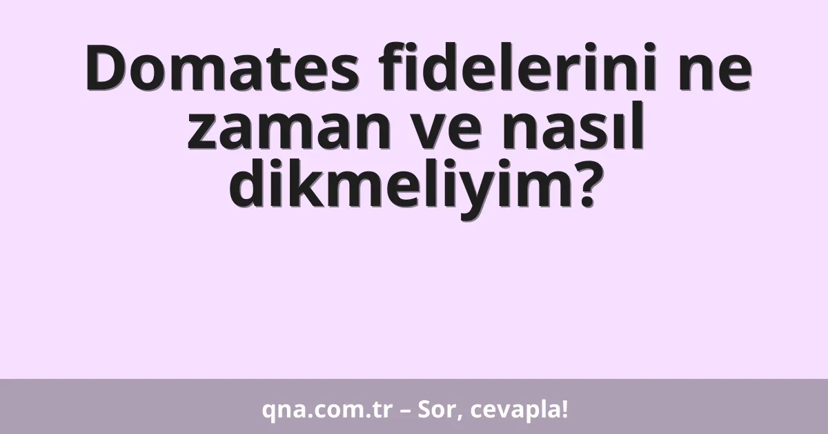 Domates fidelerini ne zaman ve nasıl dikmeliyim?