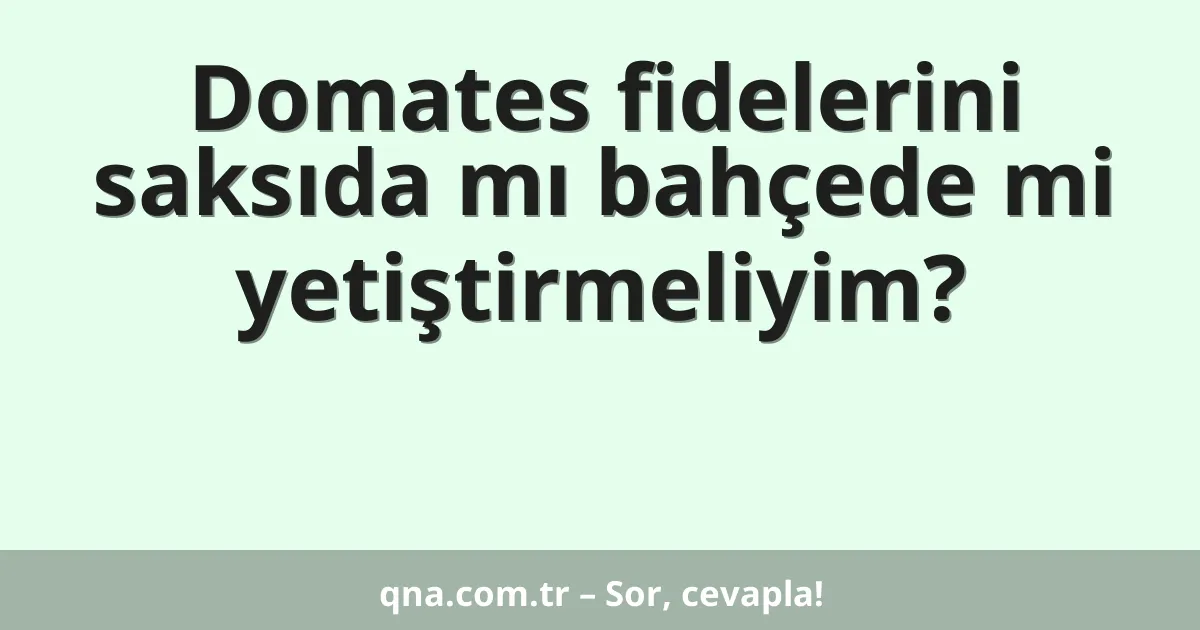 Domates fidelerini saksıda mı bahçede mi yetiştirmeliyim?