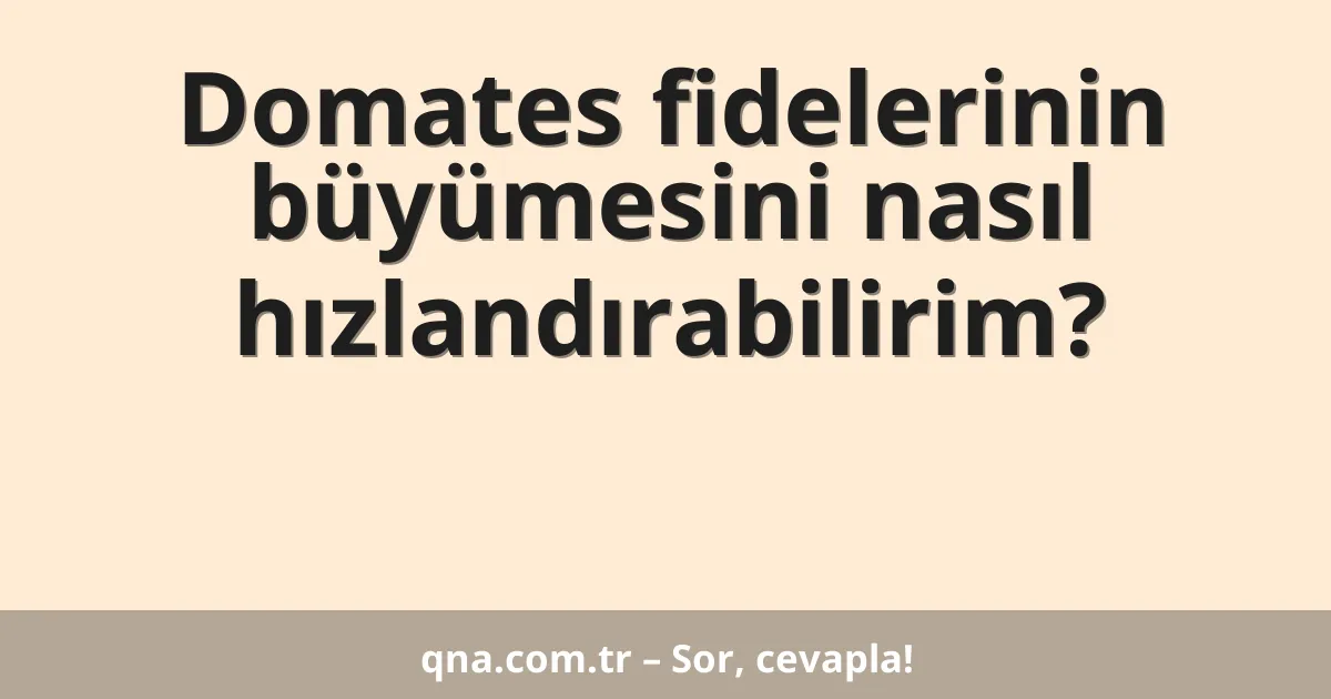 Domates fidelerinin büyümesini nasıl hızlandırabilirim?