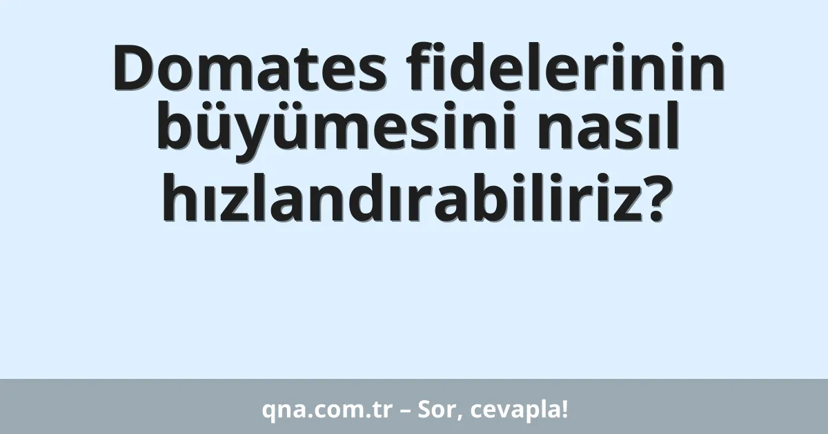 Domates fidelerinin büyümesini nasıl hızlandırabiliriz?