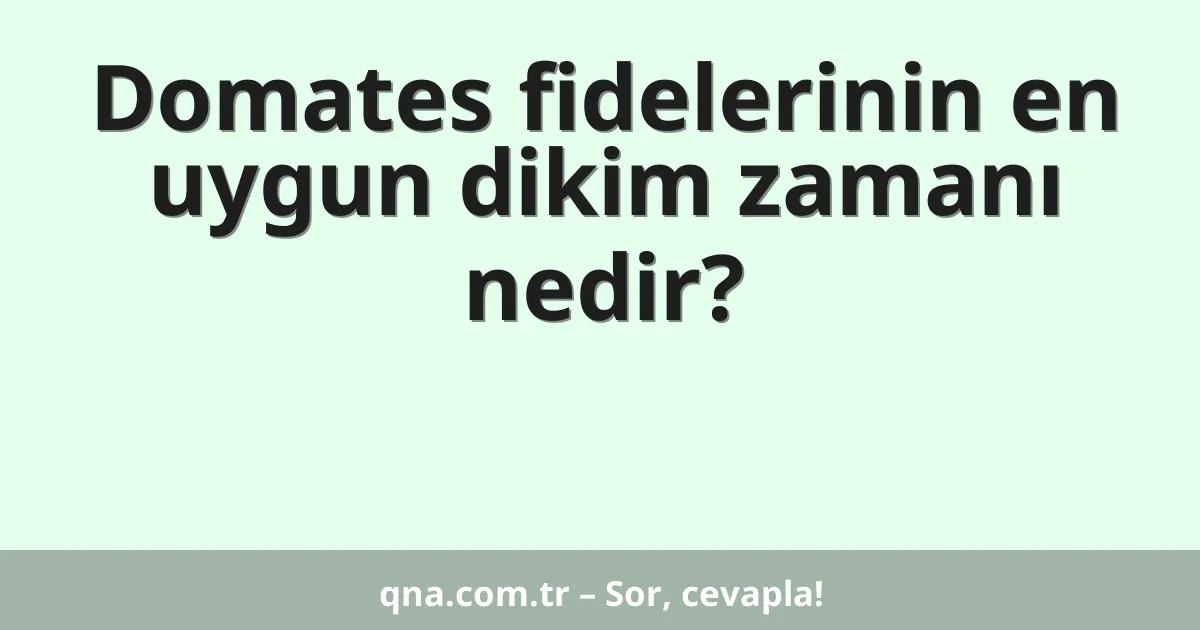 Domates fidelerinin en uygun dikim zamanı nedir?