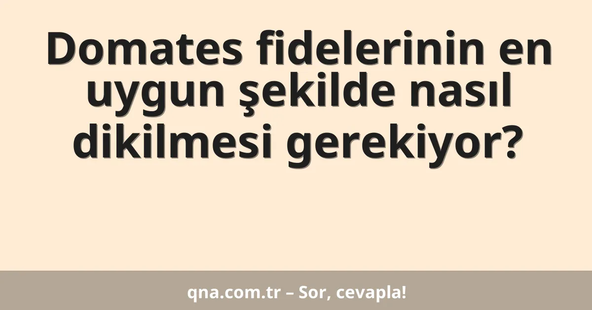 Domates fidelerinin en uygun şekilde nasıl dikilmesi gerekiyor?