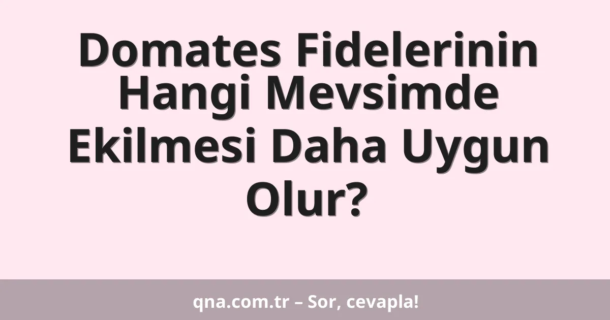 Domates Fidelerinin Hangi Mevsimde Ekilmesi Daha Uygun Olur?