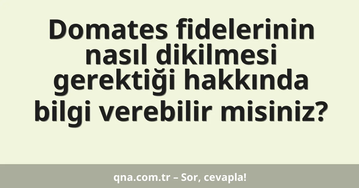 Domates fidelerinin nasıl dikilmesi gerektiği hakkında bilgi verebilir misiniz?