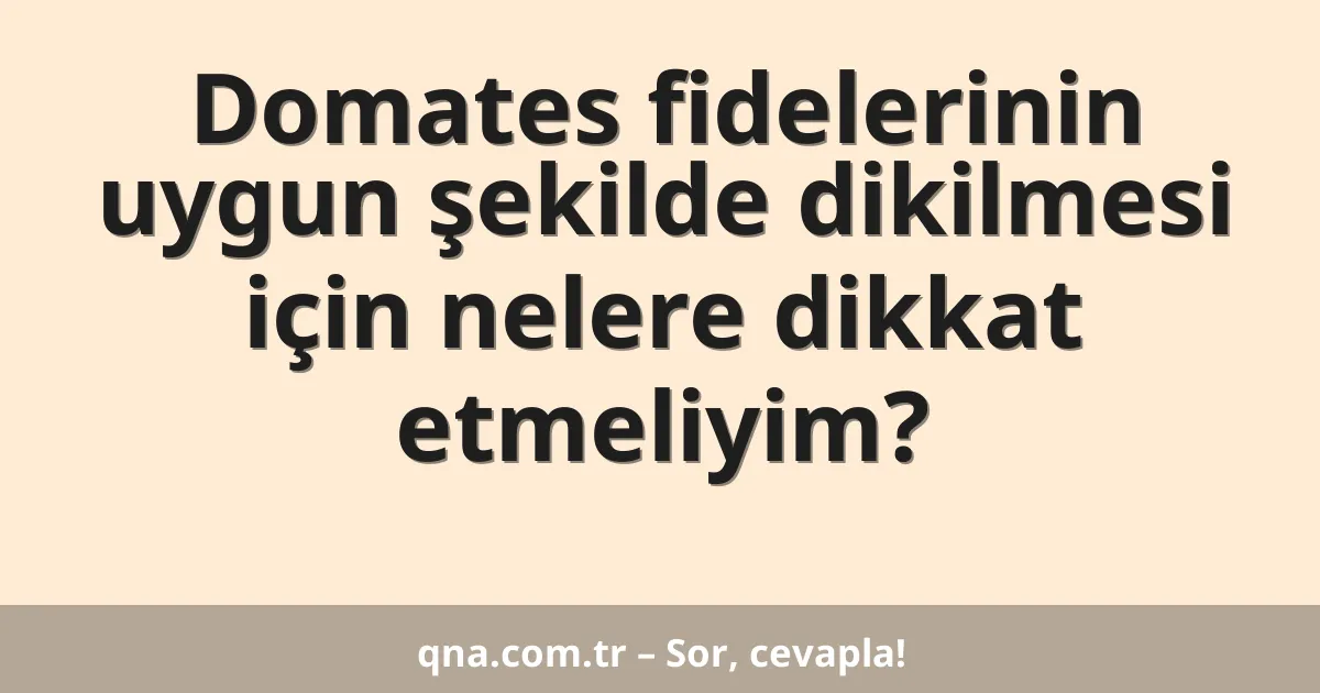 Domates fidelerinin uygun şekilde dikilmesi için nelere dikkat etmeliyim?