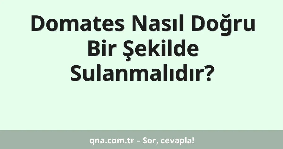Domates Nasıl Doğru Bir Şekilde Sulanmalıdır?