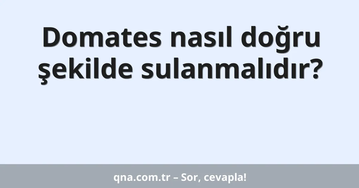 Domates nasıl doğru şekilde sulanmalıdır?