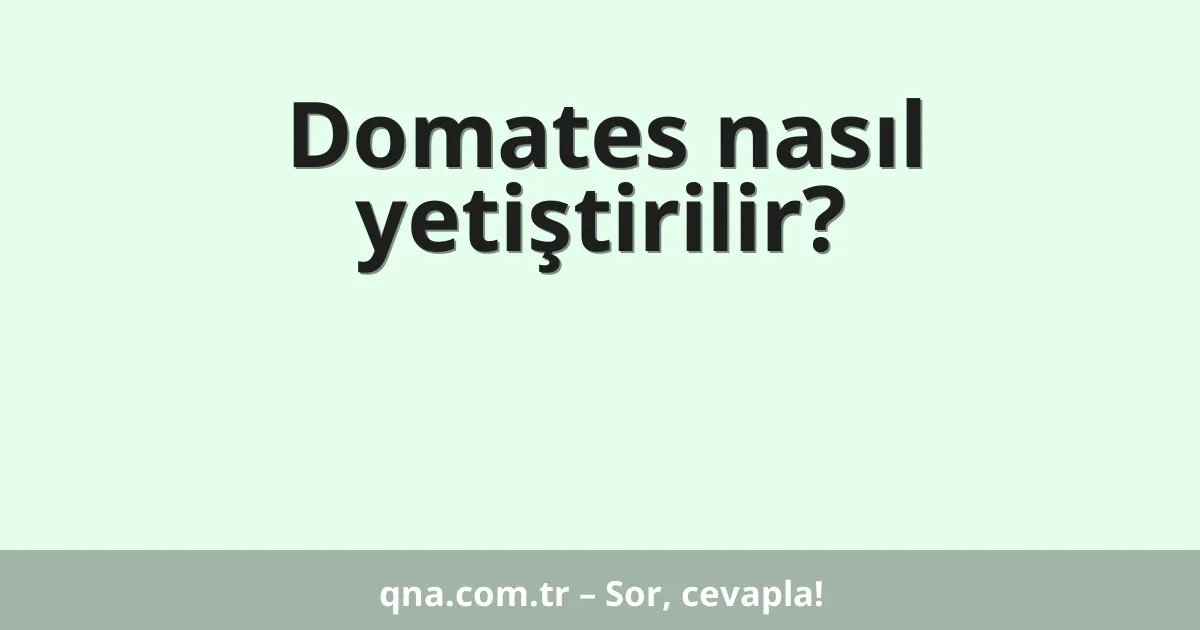 Domates nasıl yetiştirilir?