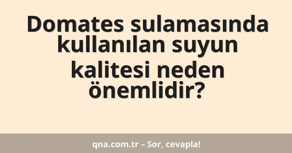 Domates sulamasında kullanılan suyun kalitesi neden önemlidir?