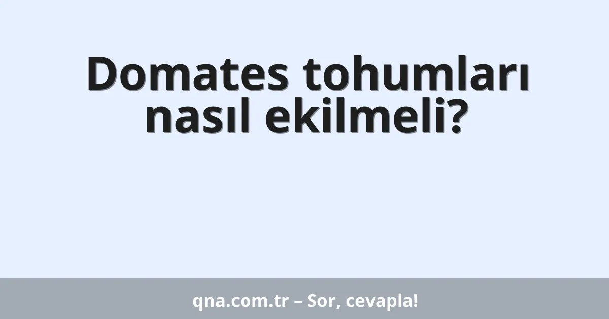 Domates tohumları nasıl ekilmeli?