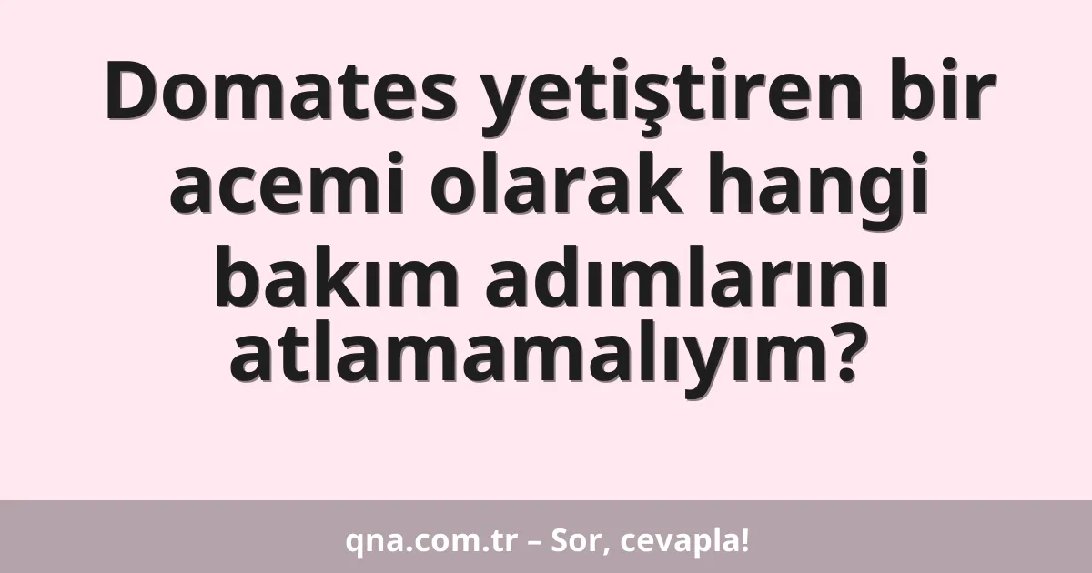 Domates yetiştiren bir acemi olarak hangi bakım adımlarını atlamamalıyım?