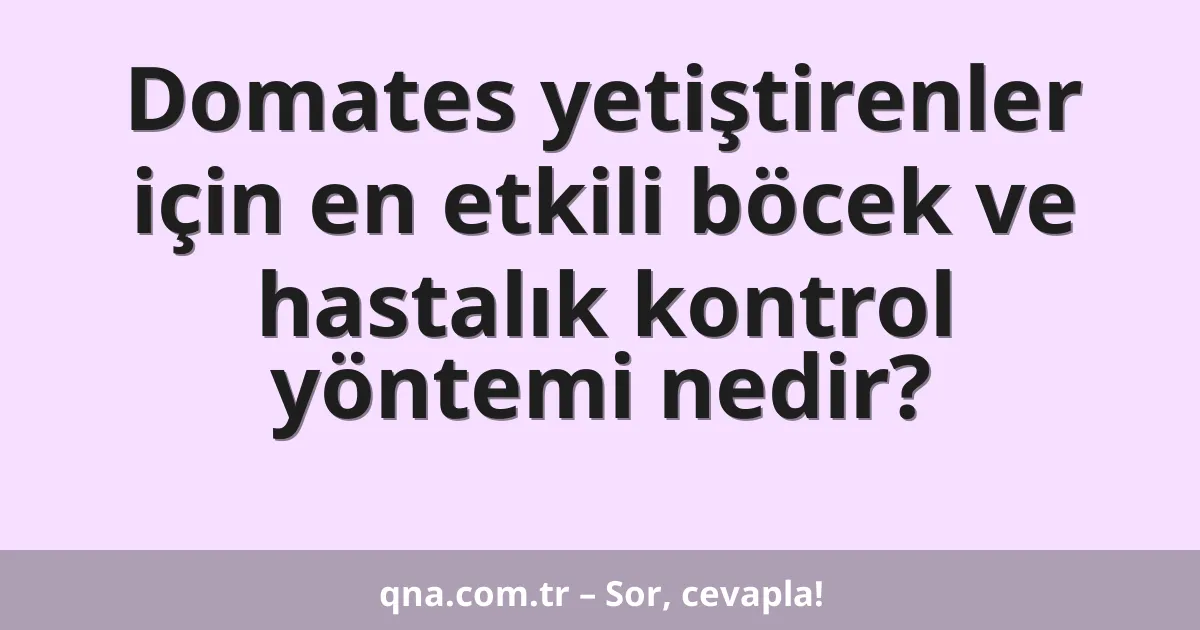 Domates yetiştirenler için en etkili böcek ve hastalık kontrol yöntemi nedir?