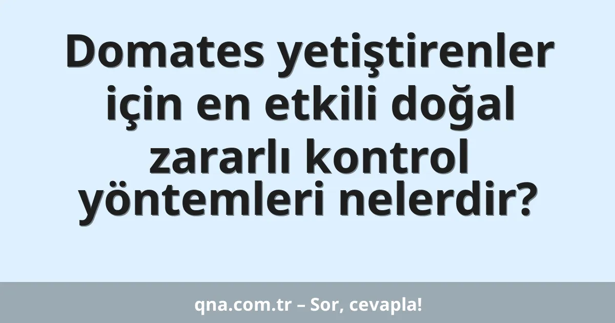 Domates yetiştirenler için en etkili doğal zararlı kontrol yöntemleri nelerdir?