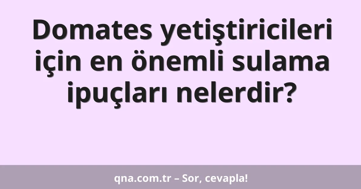 Domates yetiştiricileri için en önemli sulama ipuçları nelerdir?