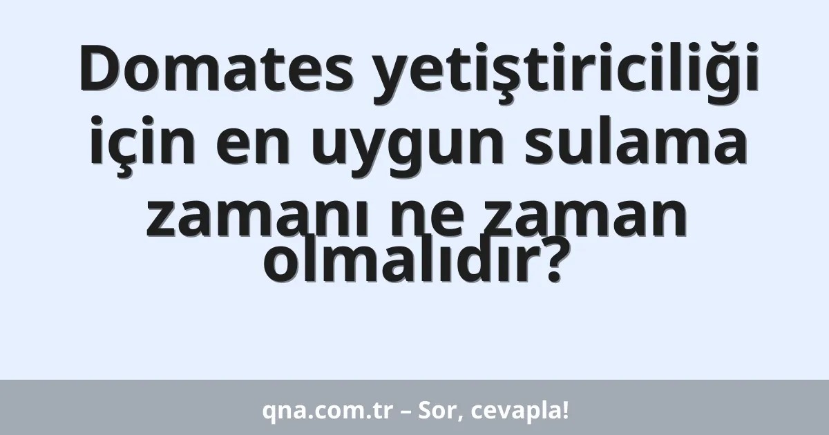 Domates yetiştiriciliği için en uygun sulama zamanı ne zaman olmalıdır?