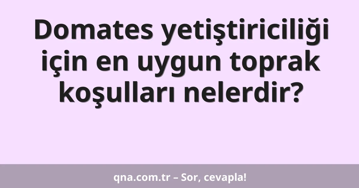 Domates yetiştiriciliği için en uygun toprak koşulları nelerdir?