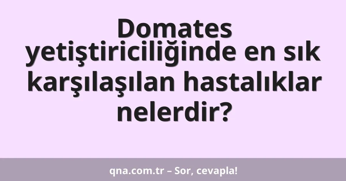 Domates yetiştiriciliğinde en sık karşılaşılan hastalıklar nelerdir?