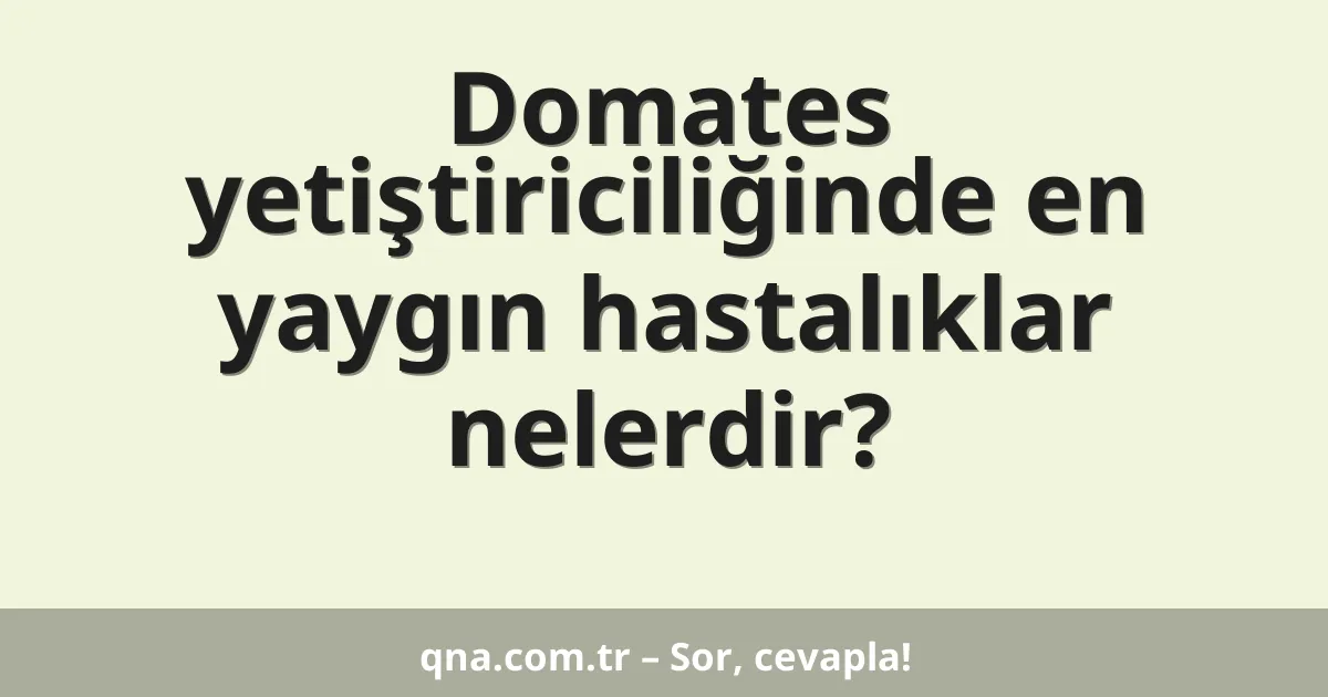 Domates yetiştiriciliğinde en yaygın hastalıklar nelerdir?