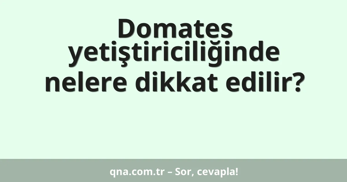 Domates yetiştiriciliğinde nelere dikkat edilir?