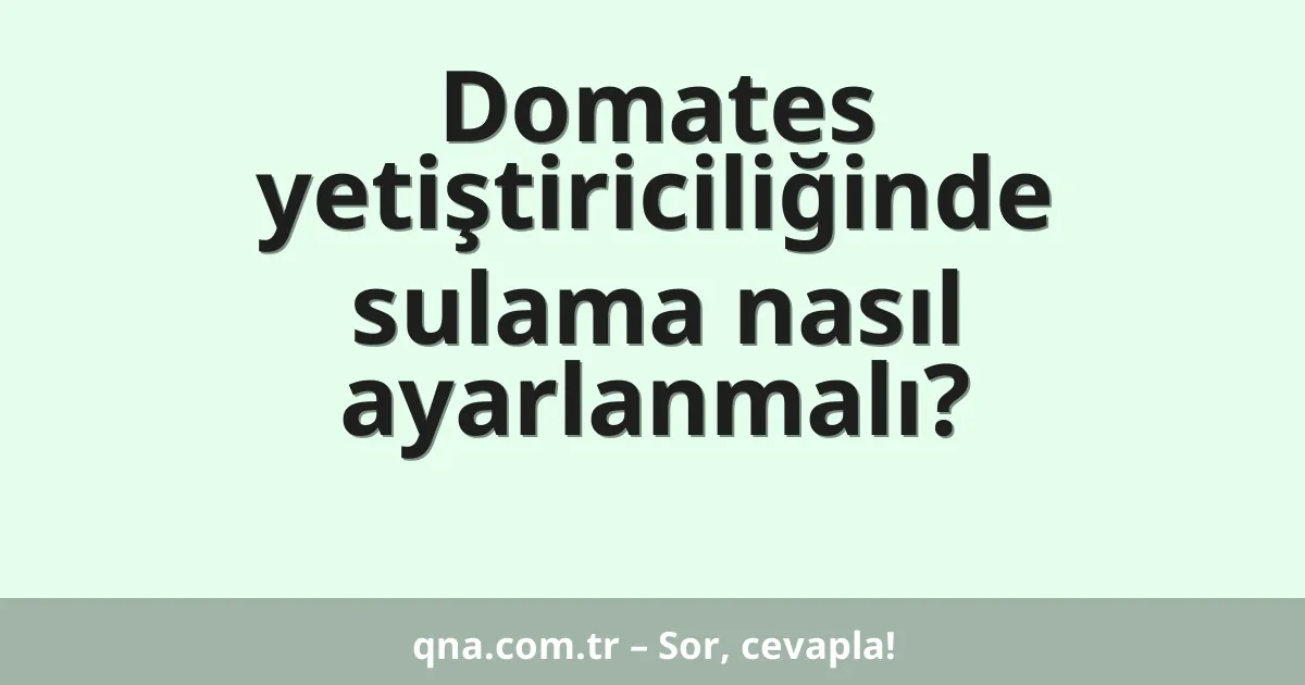 Domates yetiştiriciliğinde sulama nasıl ayarlanmalı?