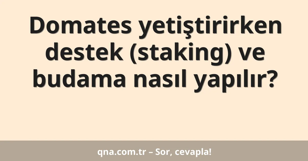 Domates yetiştirirken destek (staking) ve budama nasıl yapılır?