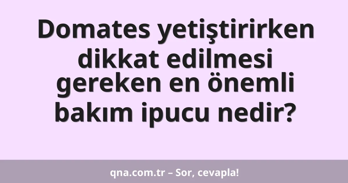 Domates yetiştirirken dikkat edilmesi gereken en önemli bakım ipucu nedir?