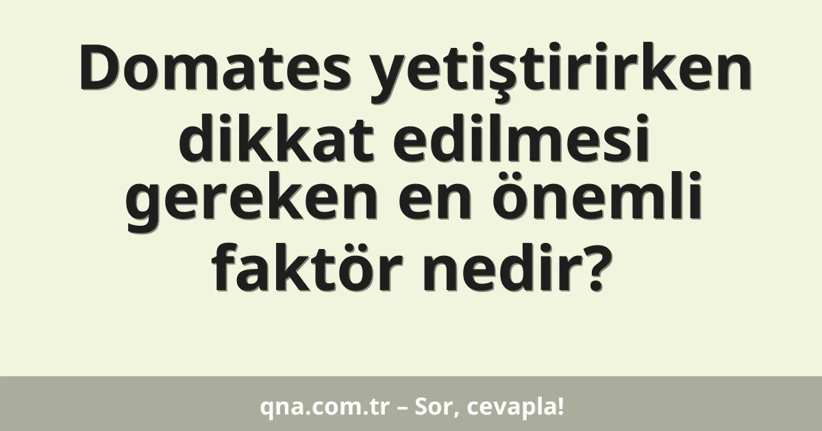 Domates yetiştirirken dikkat edilmesi gereken en önemli faktör nedir?