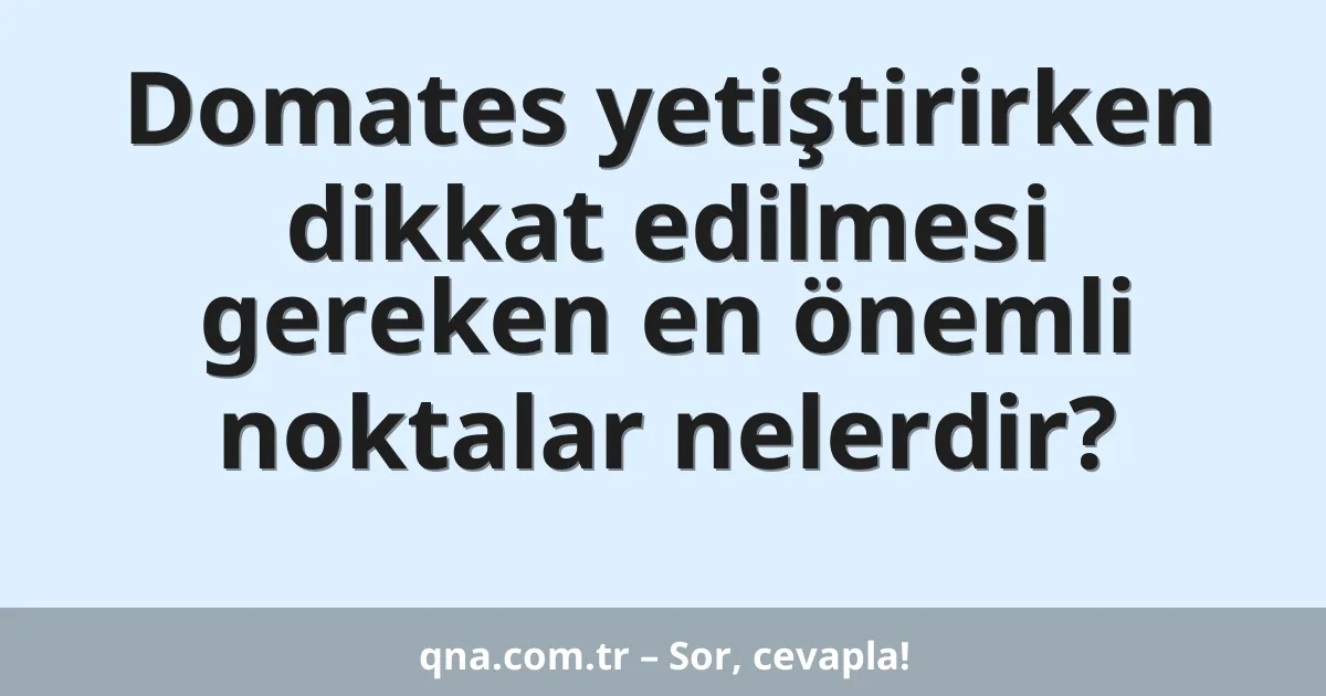 Domates yetiştirirken dikkat edilmesi gereken en önemli noktalar nelerdir?