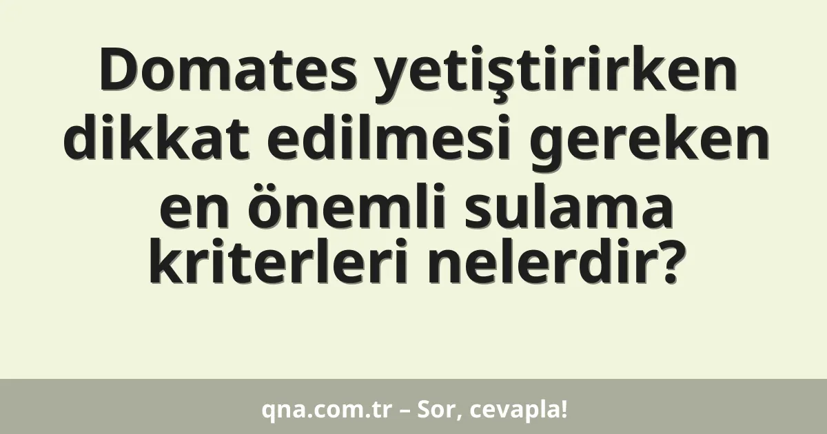 Domates yetiştirirken dikkat edilmesi gereken en önemli sulama kriterleri nelerdir?