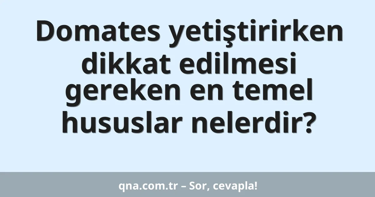 Domates yetiştirirken dikkat edilmesi gereken en temel hususlar nelerdir?
